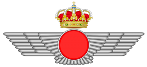 Ejército del Aire